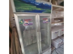 Tủ Đông 2 Cửa Củ