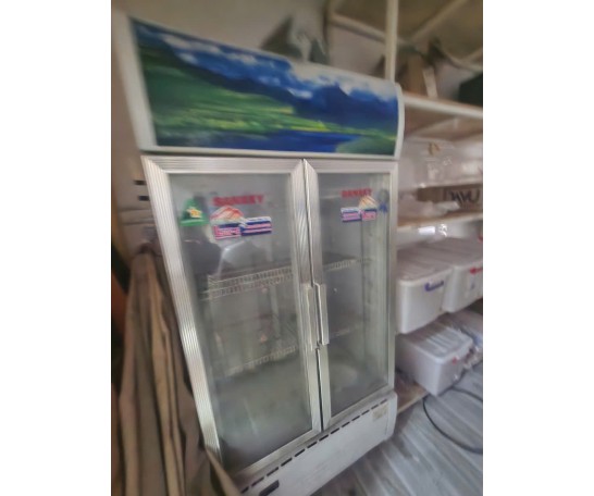 Tủ Đông 2 Cửa Củ